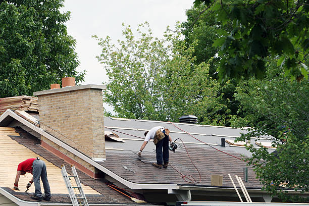 Professional Roofing Contractor in Starkville, MS